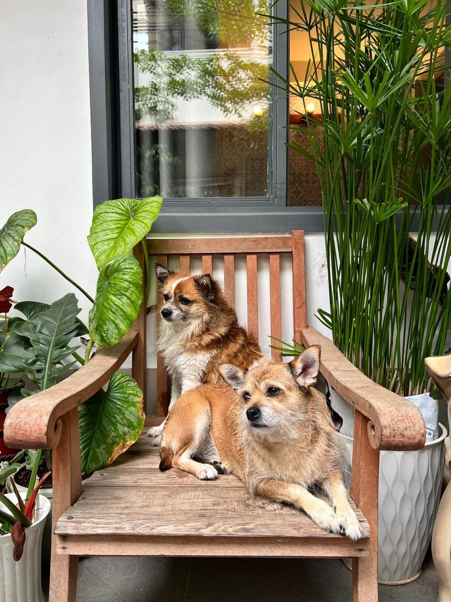 Da Lat Lemongrass - Da Lat Sa Apartman Kültér fotó